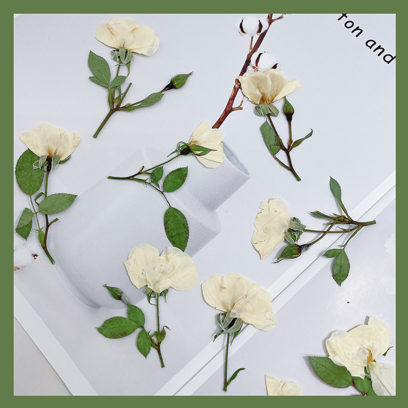 12pcs, Nature White Pink Red R - огляд і ціна Wedding Card Box